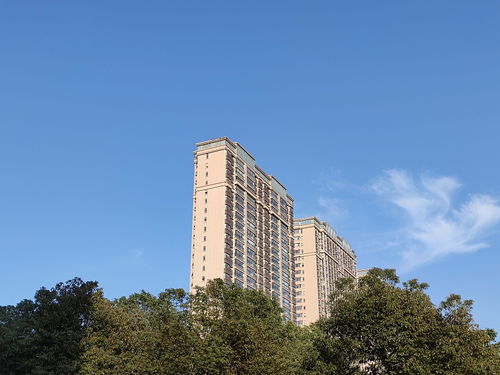 建筑學家提醒 一樓和頂樓不是最坑，這“三個樓層”才真正要想辦法避開